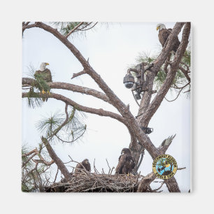 E10 en E11 + familiemagneet Magneet