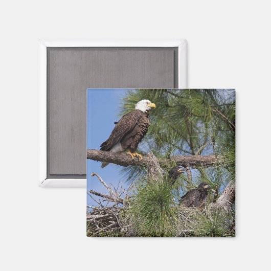 E10 en E11 magneet (Voorkant / Achterkant)