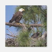 E10 en E11 magneet (Voorkant)