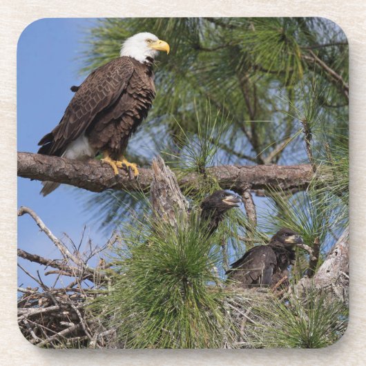 E10- en E11-Onderzetter instellen Drankjes Onderzetter (Voorkant)