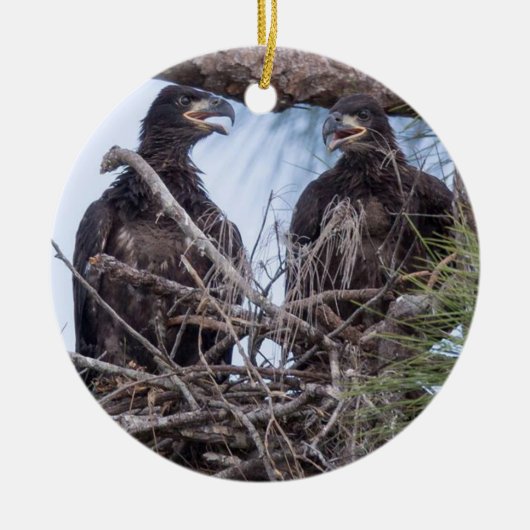 E10 en E11sierrijk Keramisch Ornament (Voorkant)