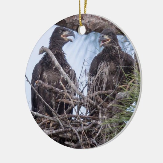 E10 en E11sierrijk Keramisch Ornament (Links)