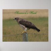 E10 Swainson's Hawk Poster (Voorkant)