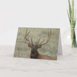 E10t Bull Elk in Velvet Head Shot Kaart