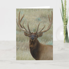 E10t Bull Elk in Velvet Head Shot Kaart