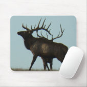 E11 Bull Elk Horns op het Horizon Silhouette Muismat (Met muis)