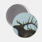 E11 Bull Elk Silhouette Head Shot Magneet (Voorkant / Achterkant)