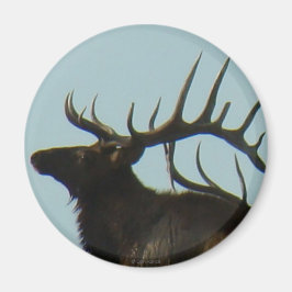 E11 Bull Elk Silhouette Head Shot Magneet