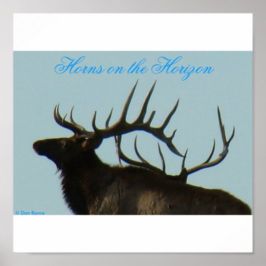 E11 Bull Elk Silhouette Head Shot Poster (Voorkant)