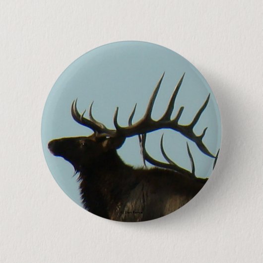 E11 Stier Eland Silhouet Kopschot Ronde Button 5,7 Cm (Voorkant)