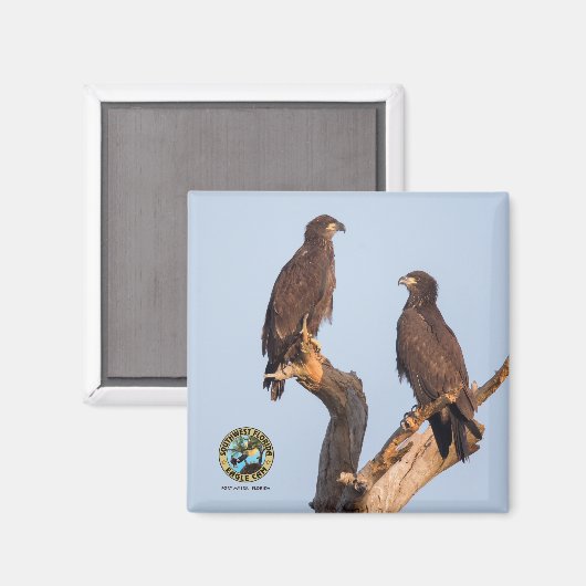 E12 en E13 magneet (Voorkant / Achterkant)