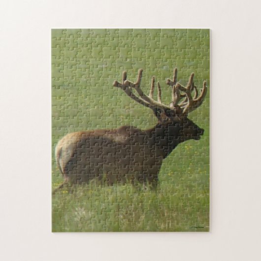 E12 Mannelijke Wapiti 1 mannetje of 2 ? Legpuzzel (Verticaal)