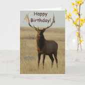 E13 Bull Elk Grass in Hoorns Kaart (Gele Bloem)