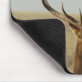 E13 Bull Elk Grass in Hoorns Muismat (Hoek)