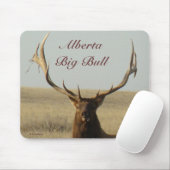 E13 Bull Elk Grass in Hoorns Muismat (Met muis)