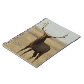 E13 Bull Elk Grass in Hoorns Notitieboek (Linkerzijde)