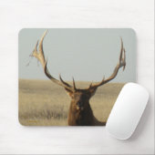 E13 Bull Elk Grass in Horns Head Shot Muismat (Met muis)