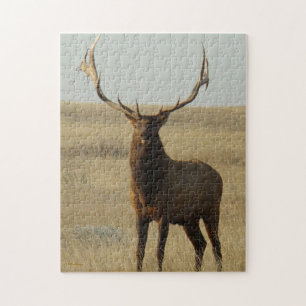 E13 Wapiti Gras in Hoorns Legpuzzel