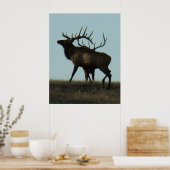 E14 Silhouet van Grote Canadese Eland met Gewei aa Poster (Keuken)
