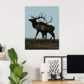 E14 Silhouet van Grote Canadese Eland met Gewei aa Poster (Thuiskantoor)