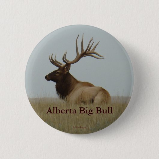 E15 Bull Elk Big Bull Laying Ronde Button 5,7 Cm (Voorkant)