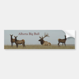 E15 Bull Elk en Jongeren Bumpersticker