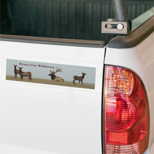 E15 Bull Elk en Yearlings Bumpersticker (Op Truck)