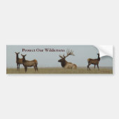 E15 Bull Elk en Yearlings Bumpersticker (Voorkant)