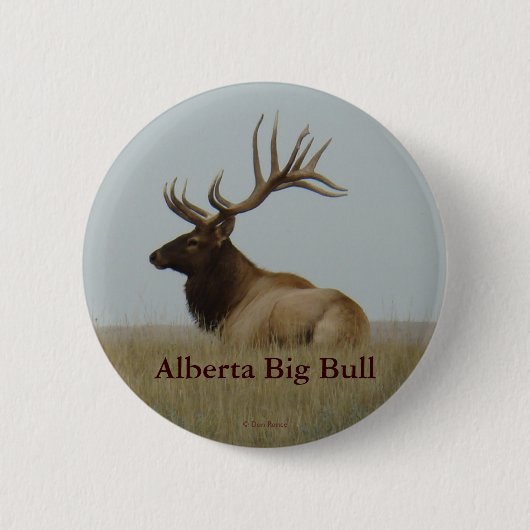 E15 Bull Elk Grote Stier Ligt Ronde Button 5,7 Cm (Voorkant)