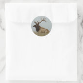 E15 Bull Elk Ronde Sticker (Tas)