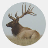 E15 Bull Elk Ronde Sticker (Voorkant)