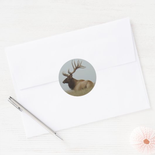 E15 Bull Elk Ronde Sticker (Envelop)