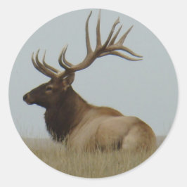 E15 Bull Elk Ronde Sticker