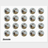 E15 Bulleneland Ronde Sticker (Vel)