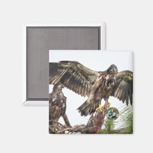 E15 E16 Memorial Magnet (Voorkant / Achterkant)