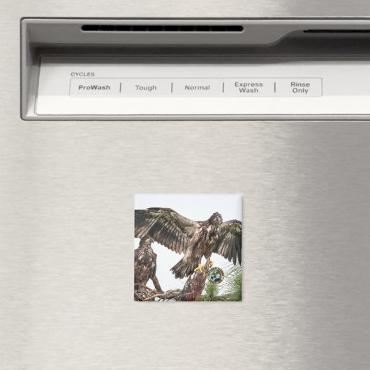 E15 E16 Memorial Magnet (Insitu (Vaatwasser))