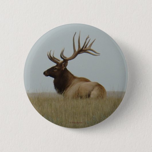 E15 Wapitihert Groot Stier Liggend Ronde Button 5,7 Cm (Voorkant)