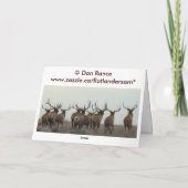 E15a Bull Elk Herd Master Kaart (Achterkant)