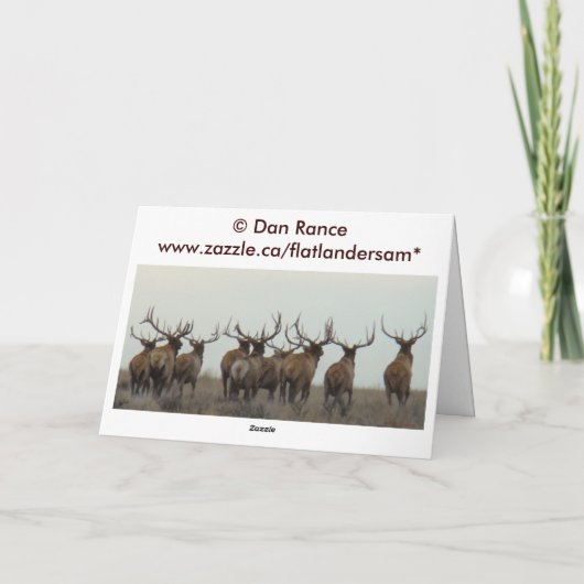 E15a Bull Elk Herd Master Kaart (Achterkant)