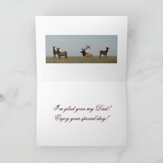 E15a Bull Elk Herd Master Kaart (Binnen)