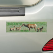 E16 Wapitikoekoe en Kalveren Bumpersticker (Op auto)