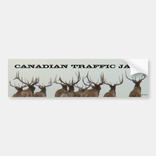 E17 Bull Elk in bedrijf Bumpersticker (Voorkant)