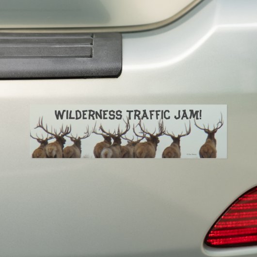 E17 Bull Elk in bedrijf Bumpersticker (Op auto)
