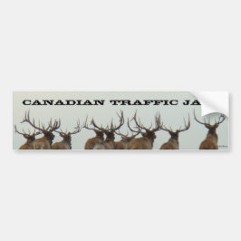 E17 Bull Elk Rent Bumpersticker