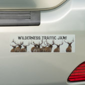 E17 Wapiti Stier Rent Bumpersticker (Op auto)