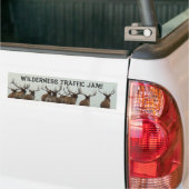E17 Wapiti Stier Rent Bumpersticker (Op Truck)