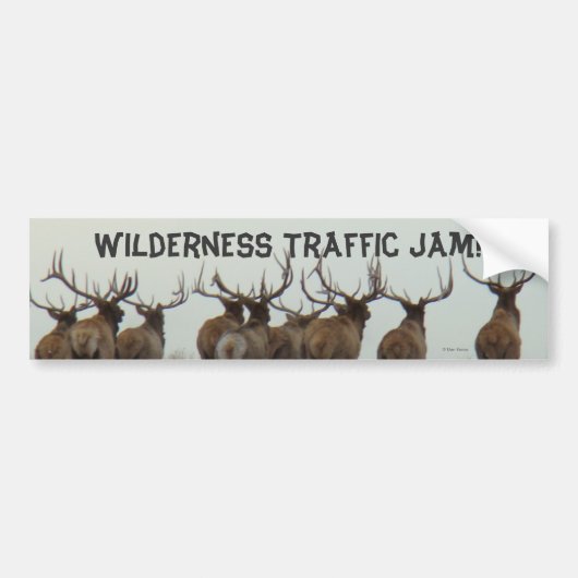 E17 Wapiti Stier Rent Bumpersticker (Voorkant)