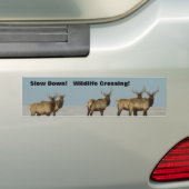 E18 Wapiti Stier Winter Stieren Bumpersticker (Op auto)