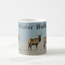E18 Wapiti Stier Winter Stieren