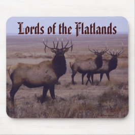 E19 Bull Elk Double Drop Tines Muismat